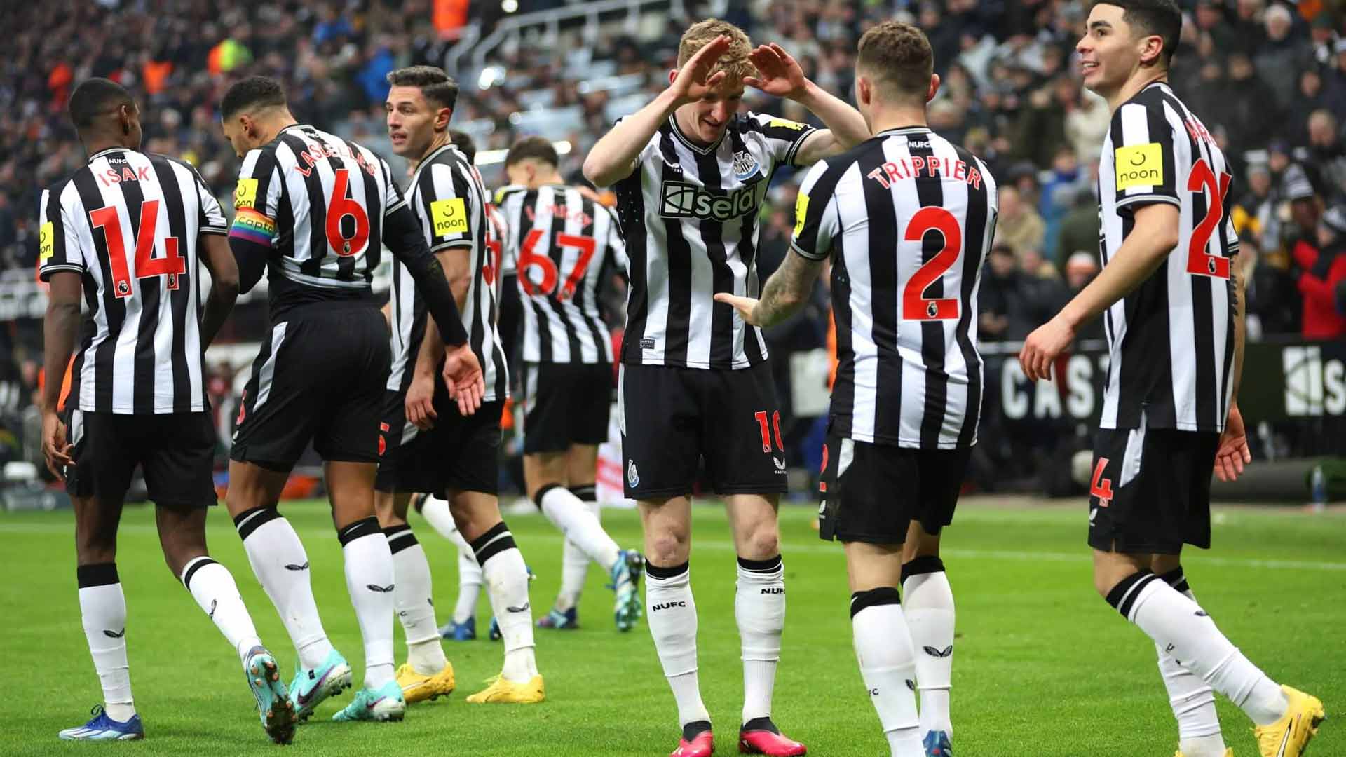 Setelah Dua Dekade, Newcastle United Buat Langkah Berani di Liga Champions